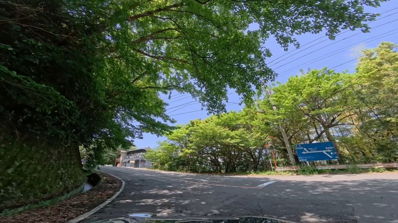 頼朝ライン
